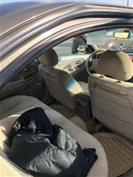 نيسان ماكسيما